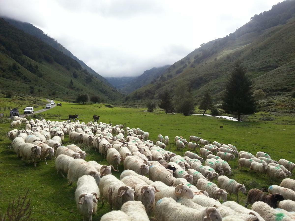 Gite De Montagne Du Plateau De Lhers- Accueil Randonneurs Accous Exterior photo